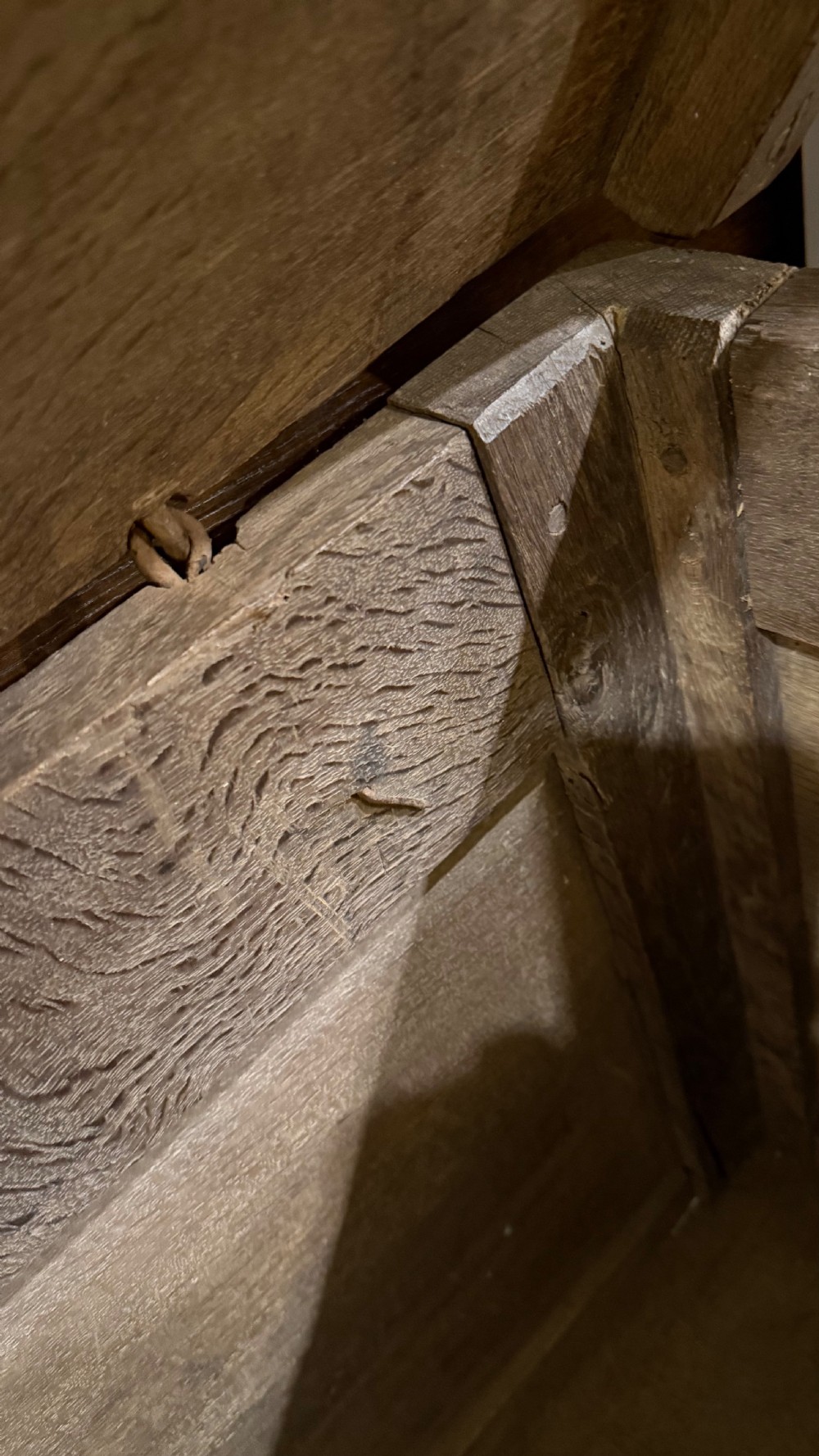 A 16th-century oak coffer featuring two carved Romayne head panels set within carved arches and a central keyhole escutcheon. View XXII