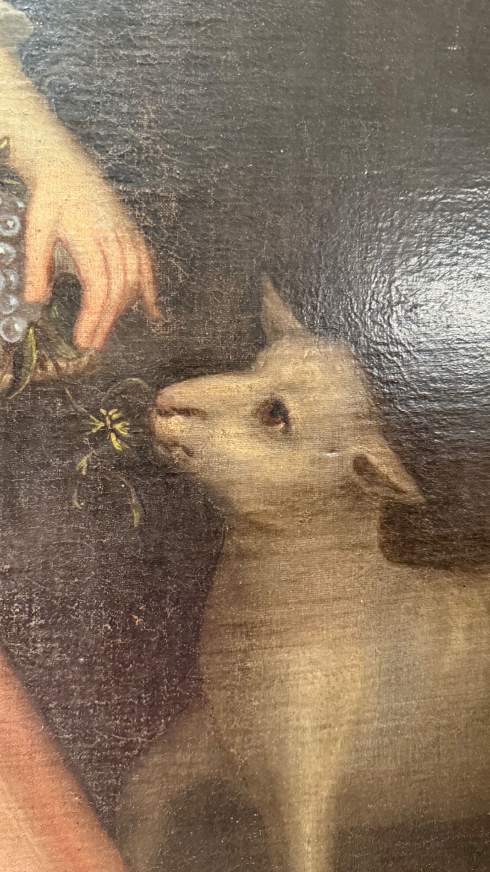 An eighteenth-century oil painting of a young girl in a pink dress holding a floral wreath, set alongside a lamb within an elaborate gold gilt frame. View VII