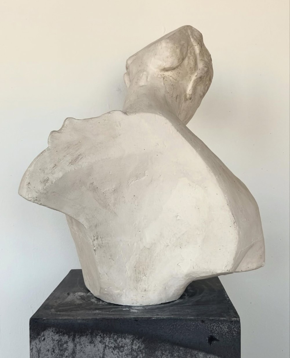 An off-white plaster bust depicting a classical head and torso in profile, angled downwards against a neutral background. View XV