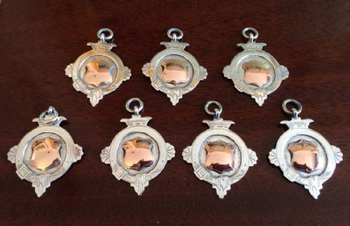 Seven George V Silver Fob Medals