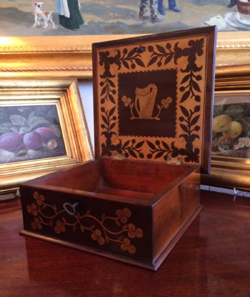 Superb 19th Century Killarney Box