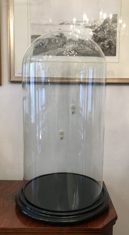 Large Victorian Glass Specimen Dome