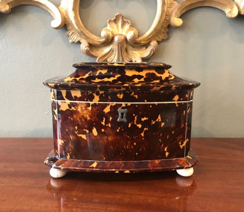 Stunning Tortoiseshell Tea Caddy, C1840
