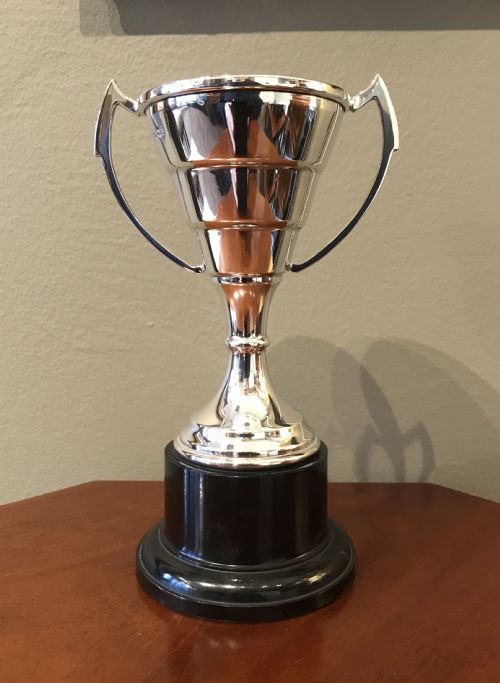 Stylish Solid Silver Twin Handled Trophy