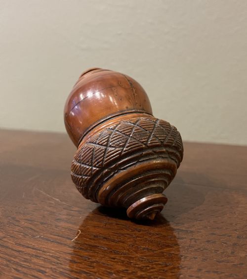Georgian Coquilla Nutmeg Grater