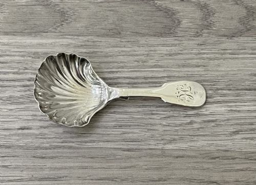 George III Silver Shell Caddy Spoon, Newcastle 1795