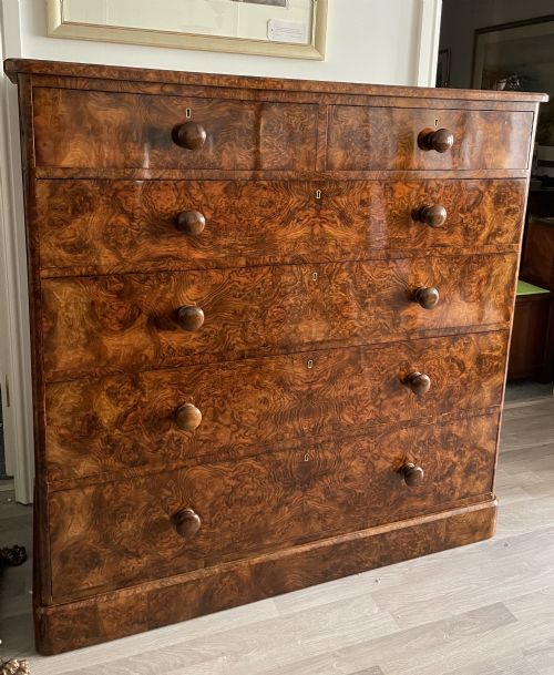 Victorian Burr Walnut Chest of Drawers by Heal & Sons