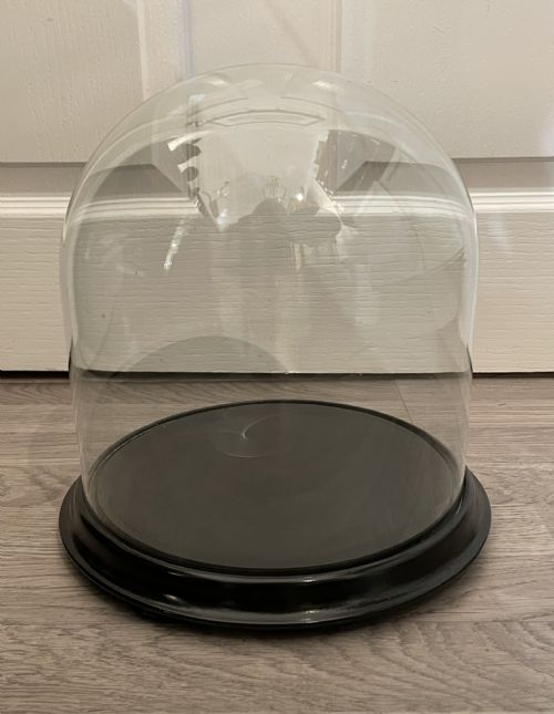 Victorian Glass Specimen Dome