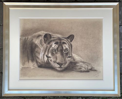 Edwardian Pencil Study of a Tiger by Kathleen Corfield 1901