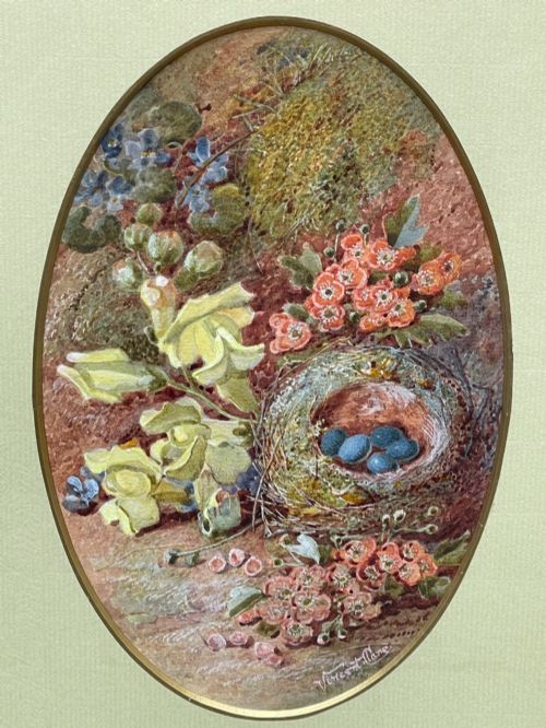 fig 1. An oval watercolour painting of a birds nest containing four blue eggs surrounded by spring blossoms, set within a green mount and a burr maple frame.