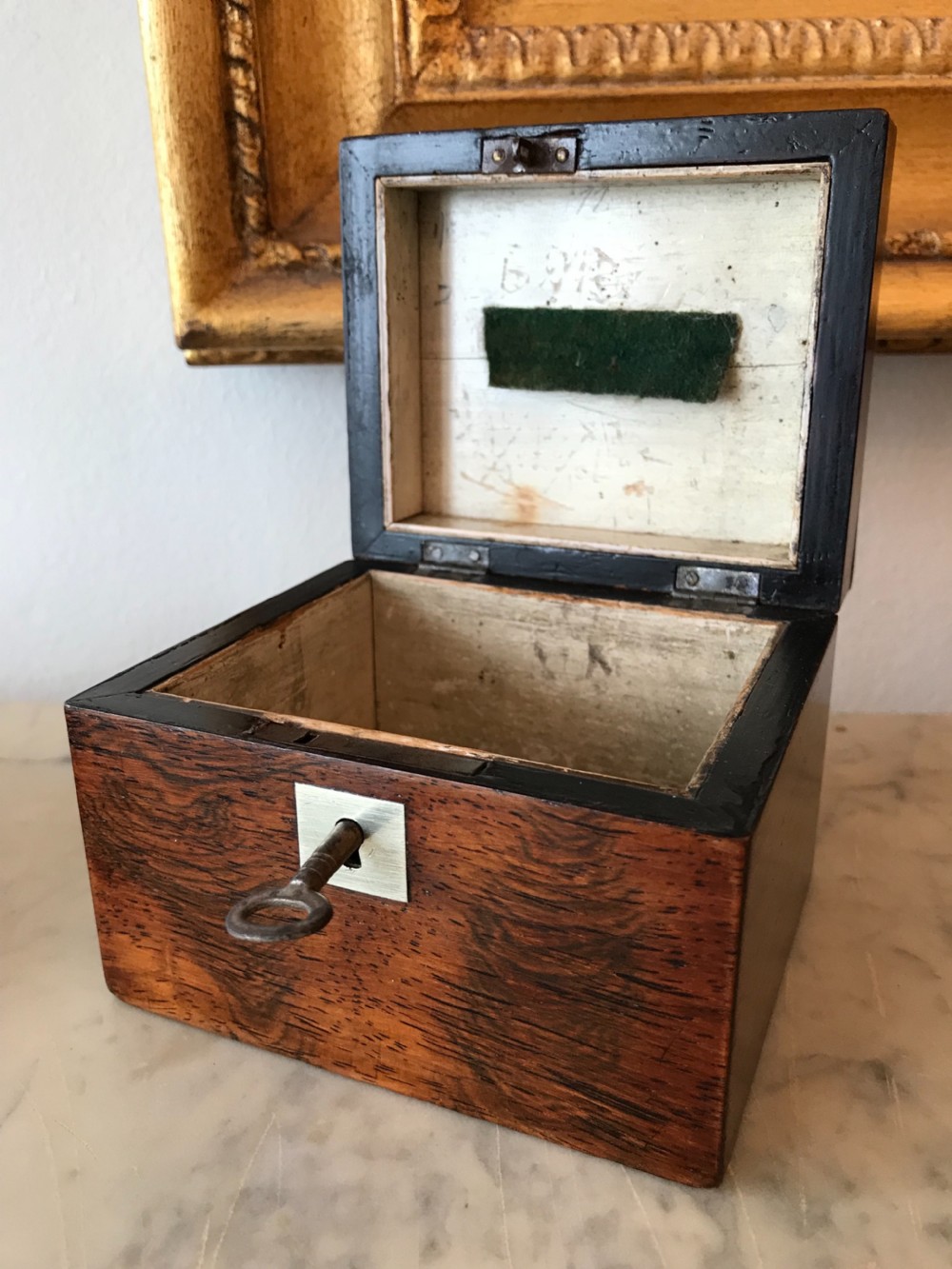 Georgian Rosewood Money Box View IV