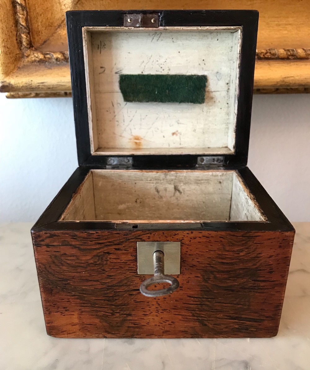 Georgian Rosewood Money Box View VI