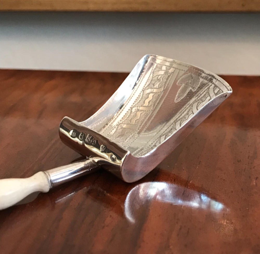 George III Silver Caddy Spoon View IV