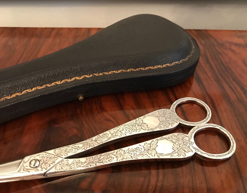 Beautiful Pair Edwardian Solid Silver Grape Scissors View VII