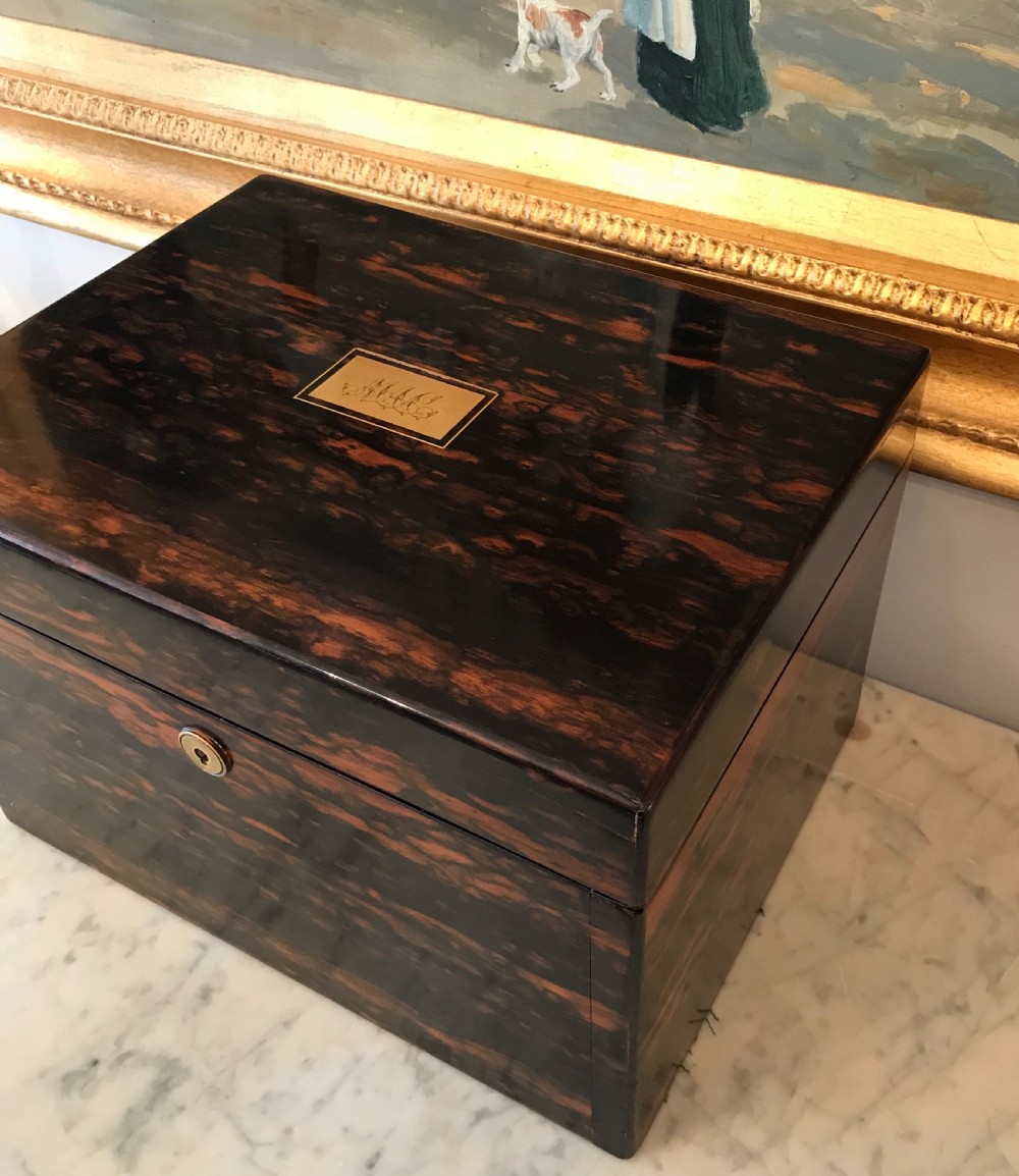 Victorian Coromandel Jewellery Box by John Bagshaw of Liverpool  View V