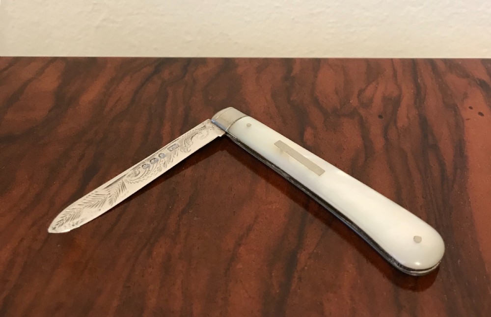 Victorian Silver & Mother of Pearl Fruit Knife View VI