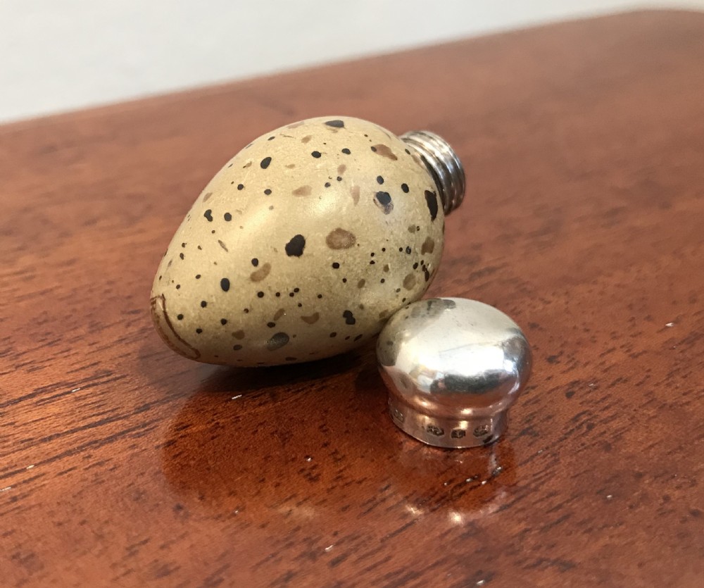 Rare Victorian Birds Egg Scent Bottle View VI