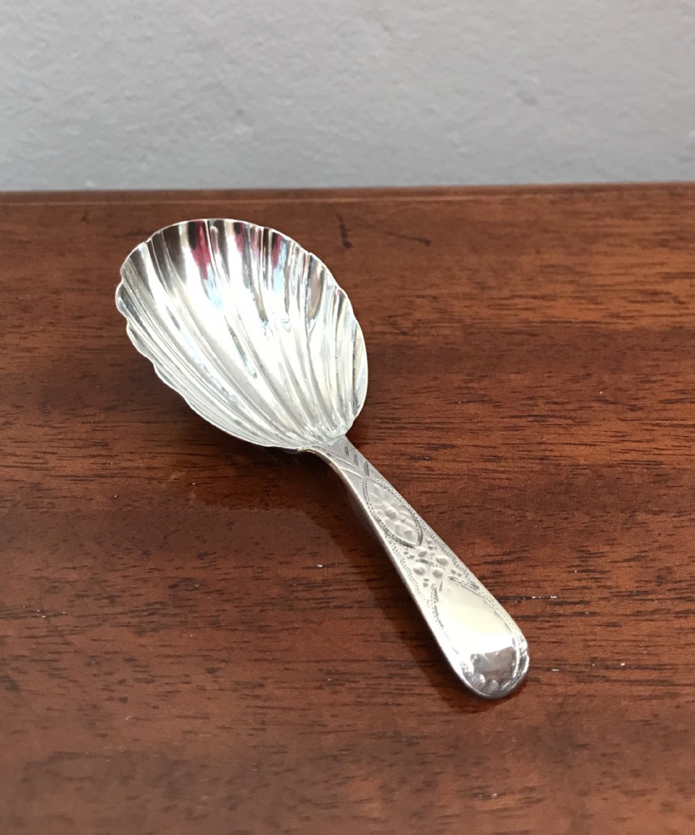 Large George III Silver Caddy Spoon