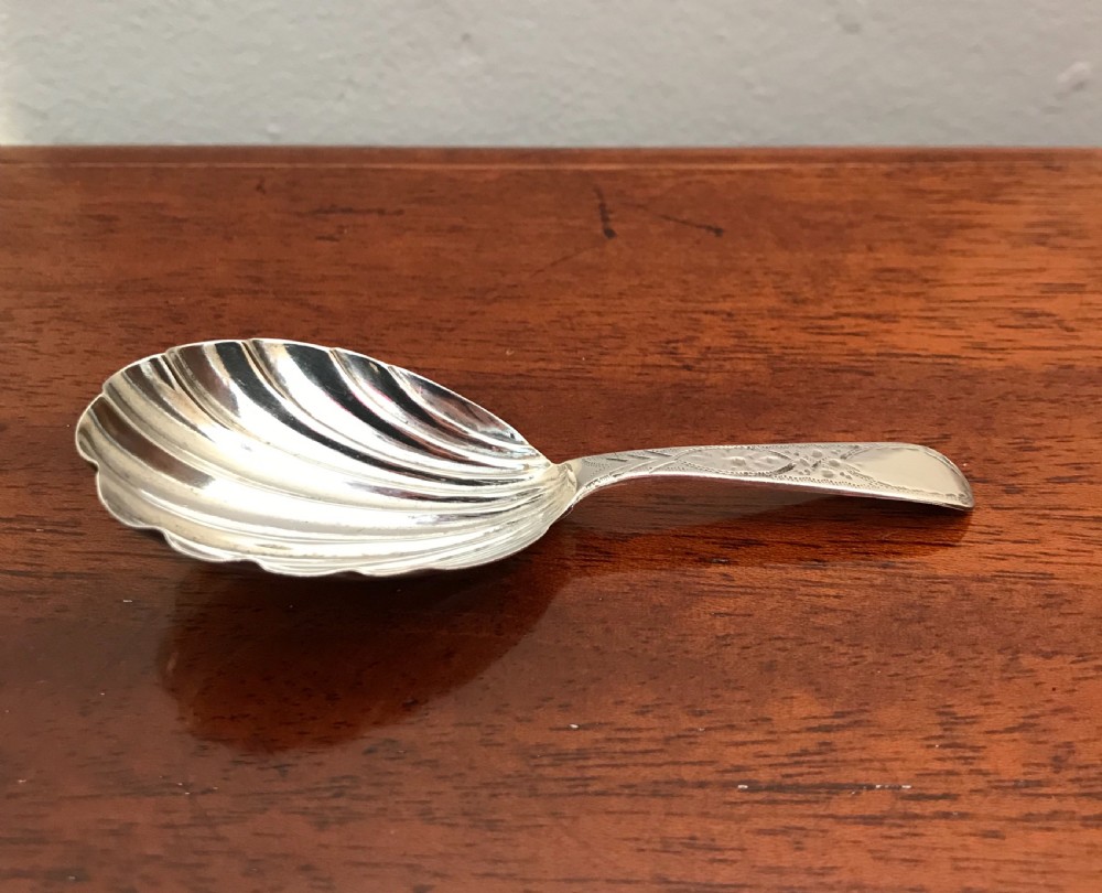 Large George III Silver Caddy Spoon View III