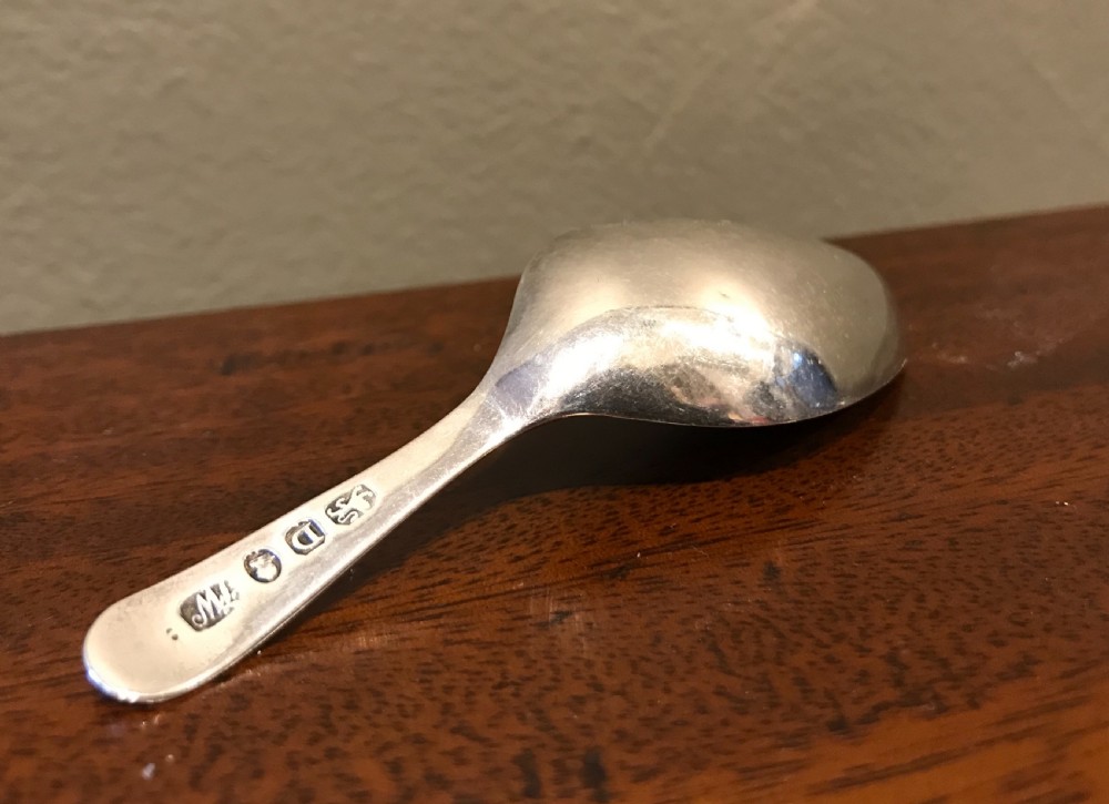 George III Leaf Caddy Spoon View III