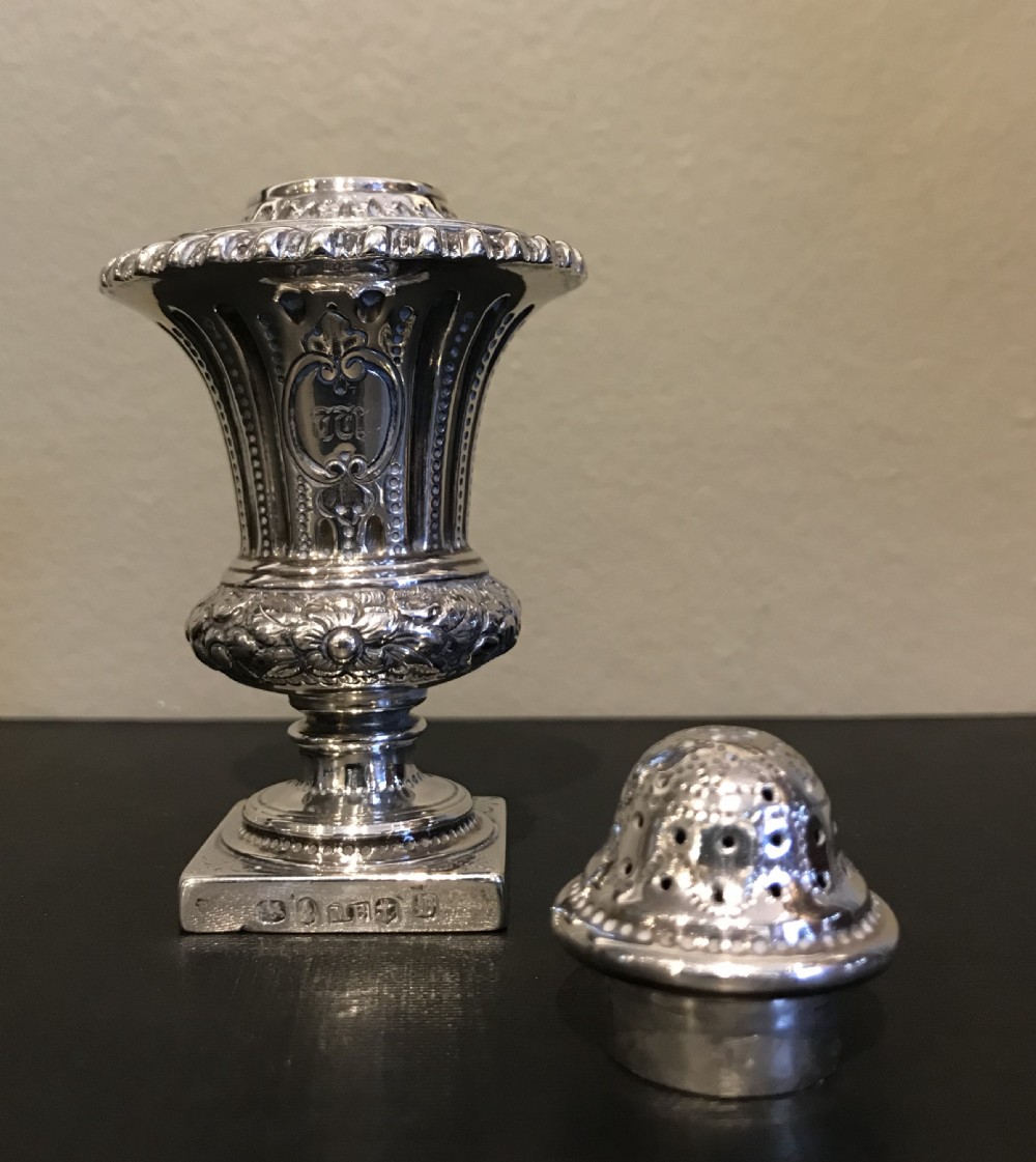 Stunning George IV Silver Pounce Pot View IV