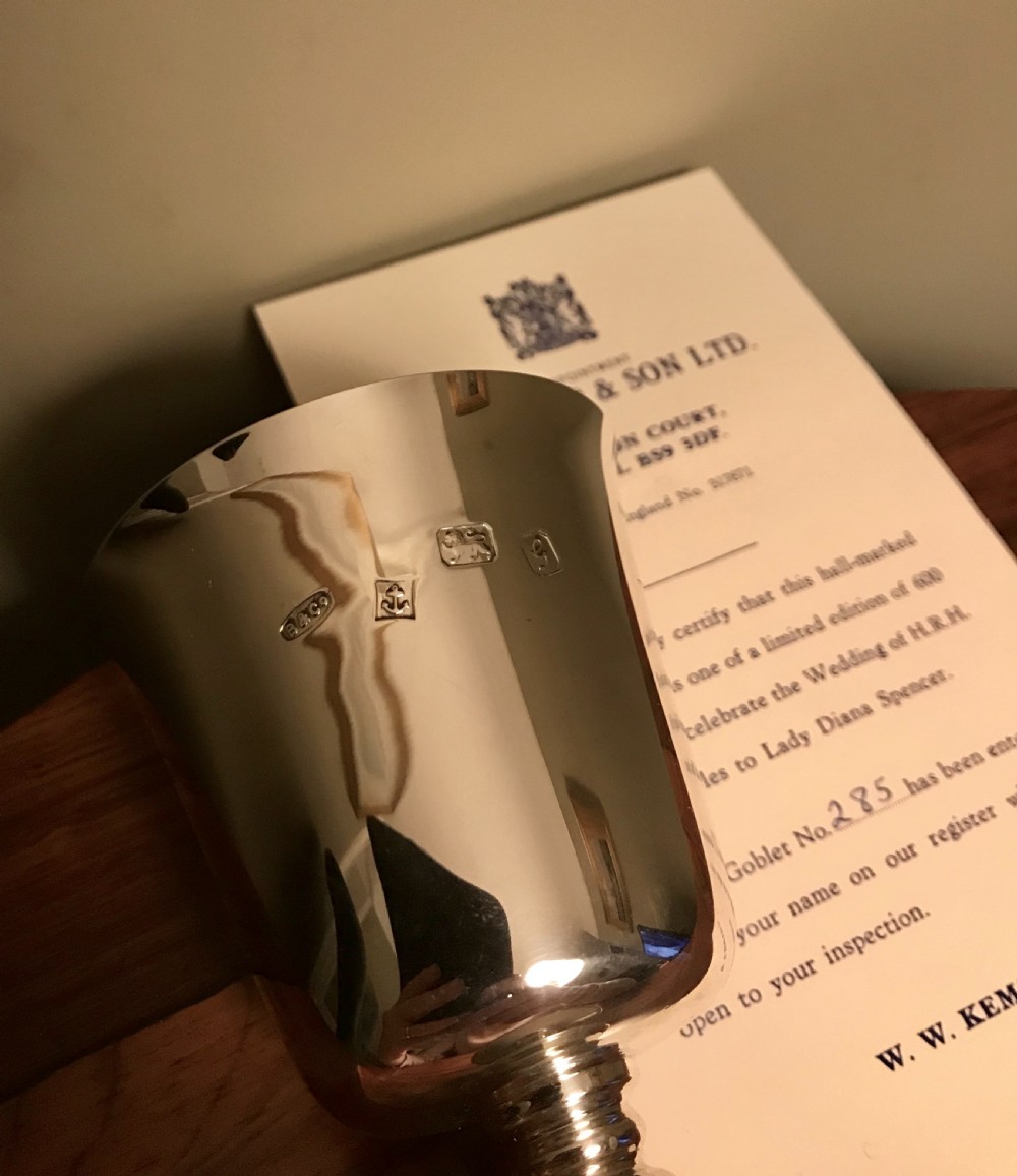 Solid Silver Goblet View IX