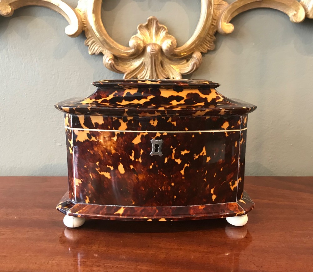 Stunning Tortoiseshell Tea Caddy, c1840
