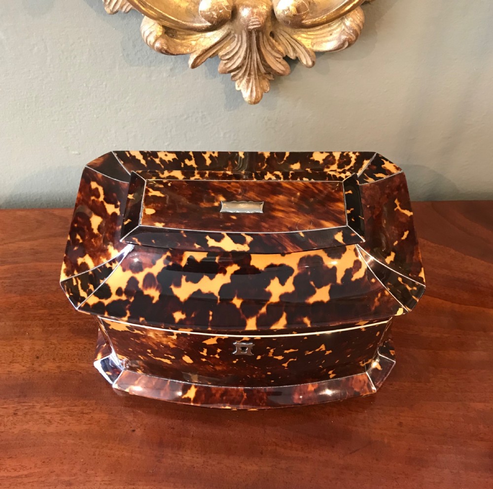 Stunning Tortoiseshell Tea Caddy, c1840 View II