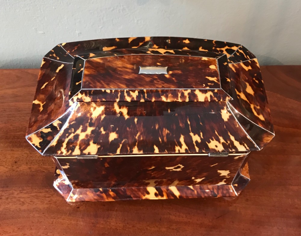 Stunning Tortoiseshell Tea Caddy, c1840 View IV