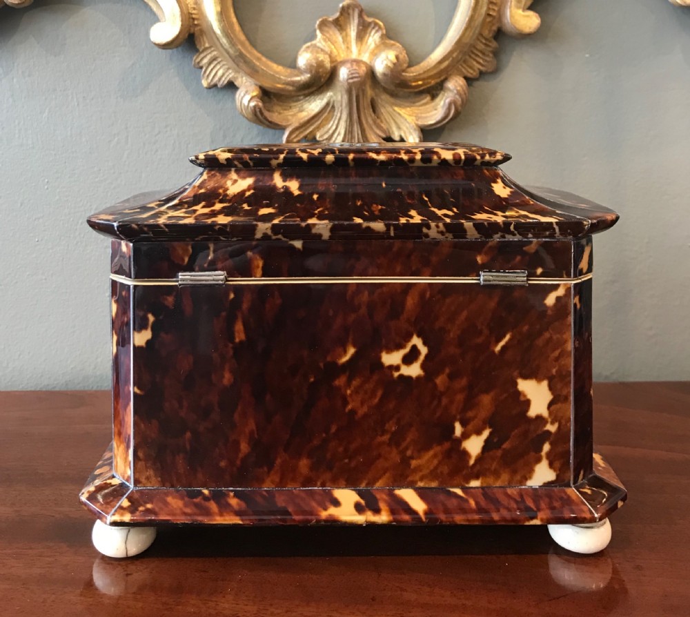 Stunning Tortoiseshell Tea Caddy, c1840 View V