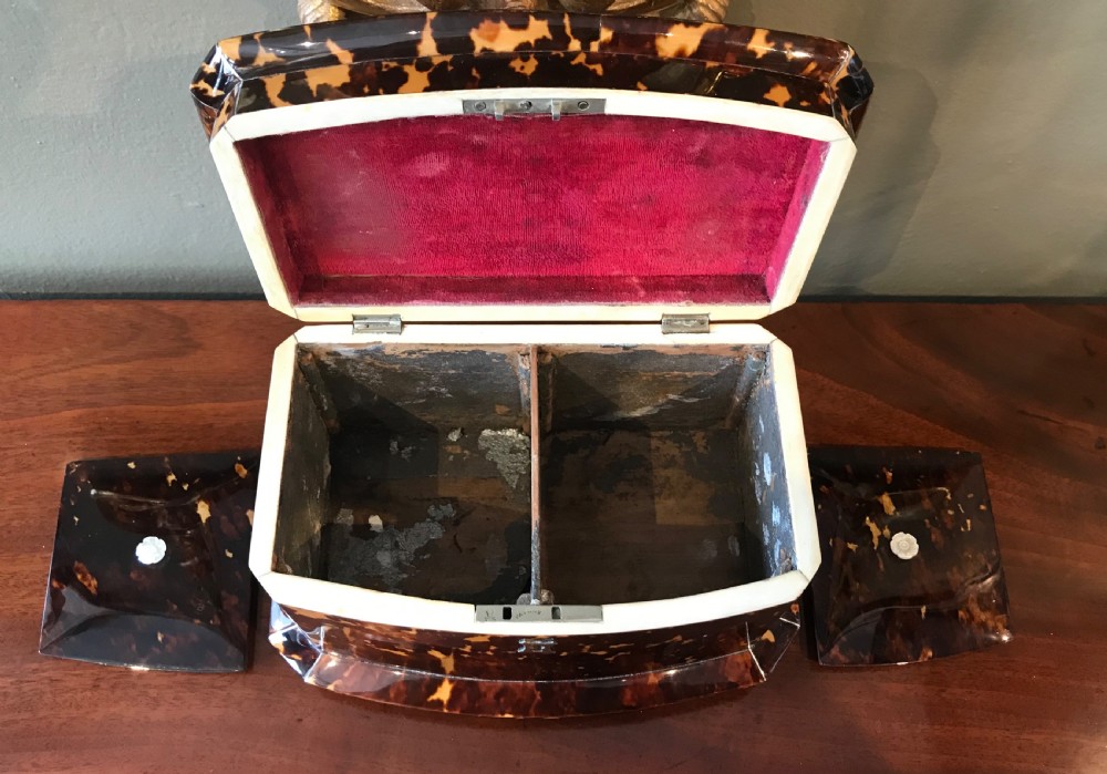 Stunning Tortoiseshell Tea Caddy, c1840 View VII