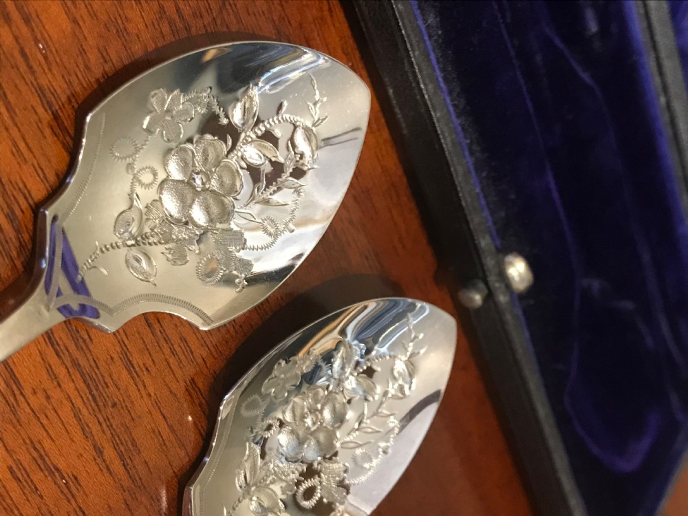 Good Pair of Victorian Silver Preserve Spoons, 1895 View IV
