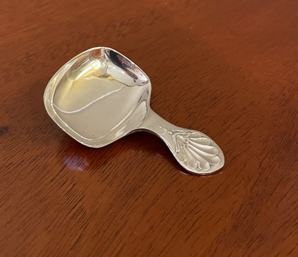 Pretty George V Silver Caddy Spoon View IV