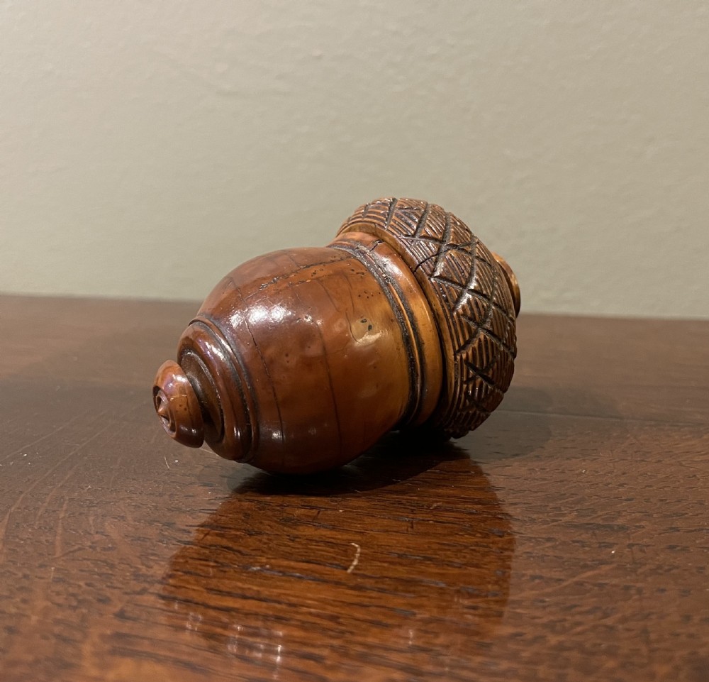 Georgian Coquilla Nutmeg Grater View II