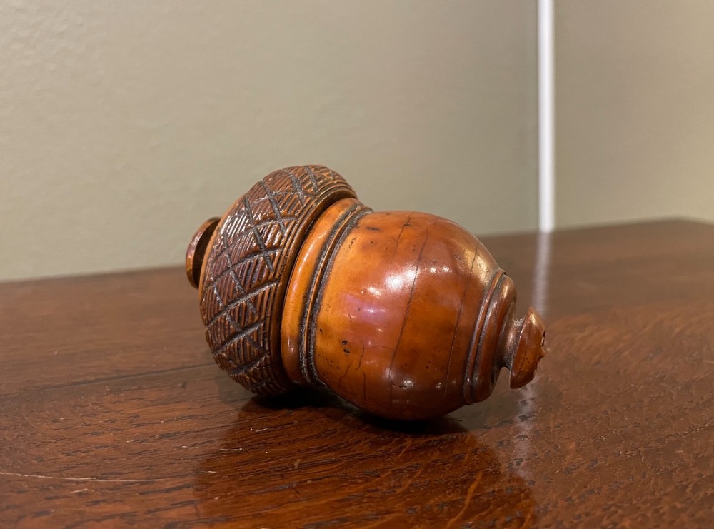 Georgian Coquilla Nutmeg Grater View IV