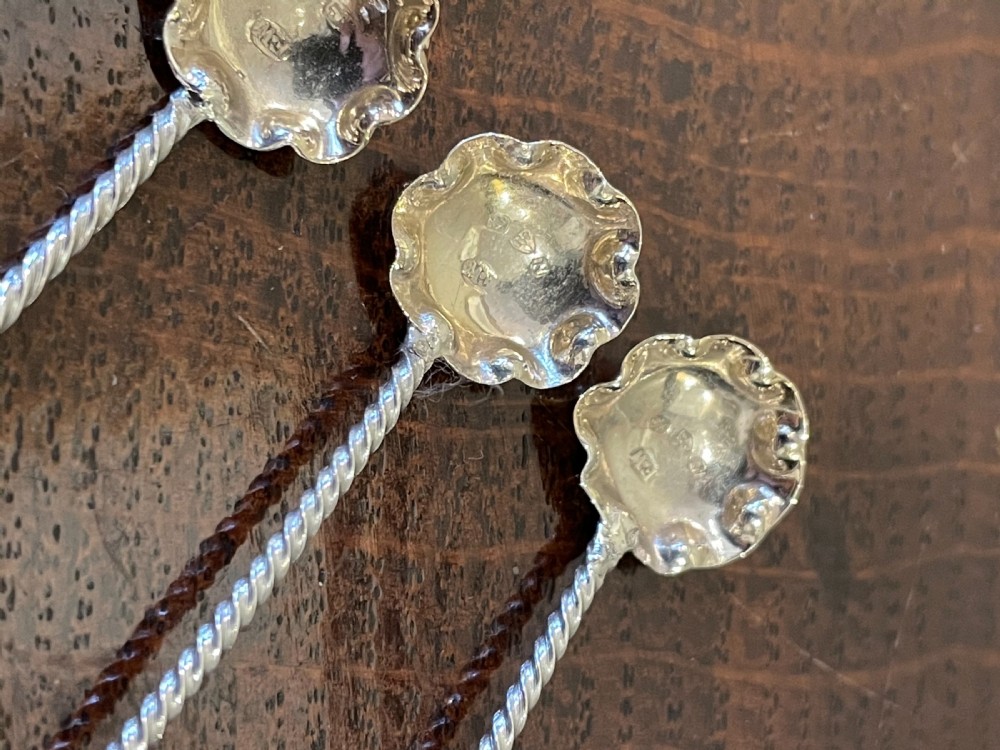 Set of Four Victorian Silver Salts & Spoons, Chester 1897 View X