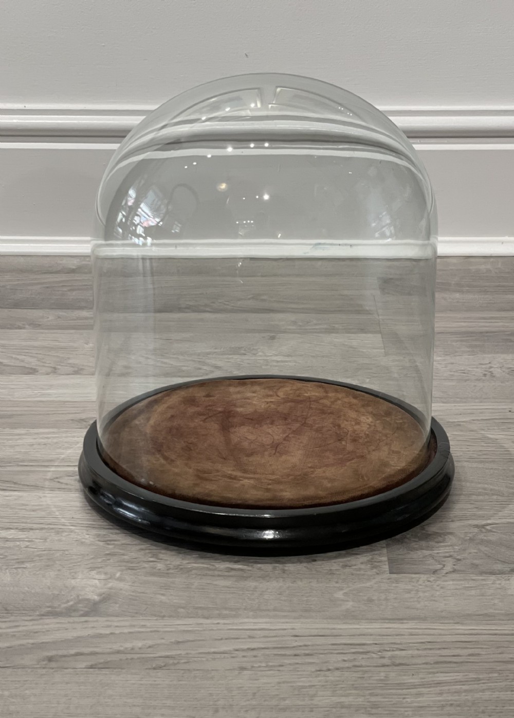 Victorian Glass Specimen Dome on Ebonised Base