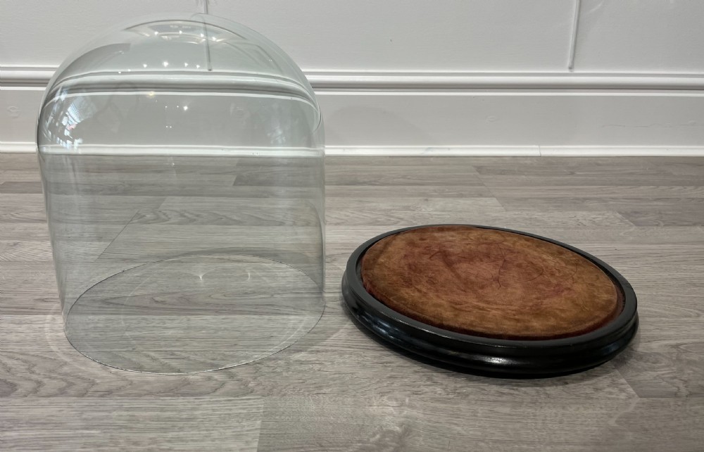 Victorian Glass Specimen Dome on Ebonised Base View II