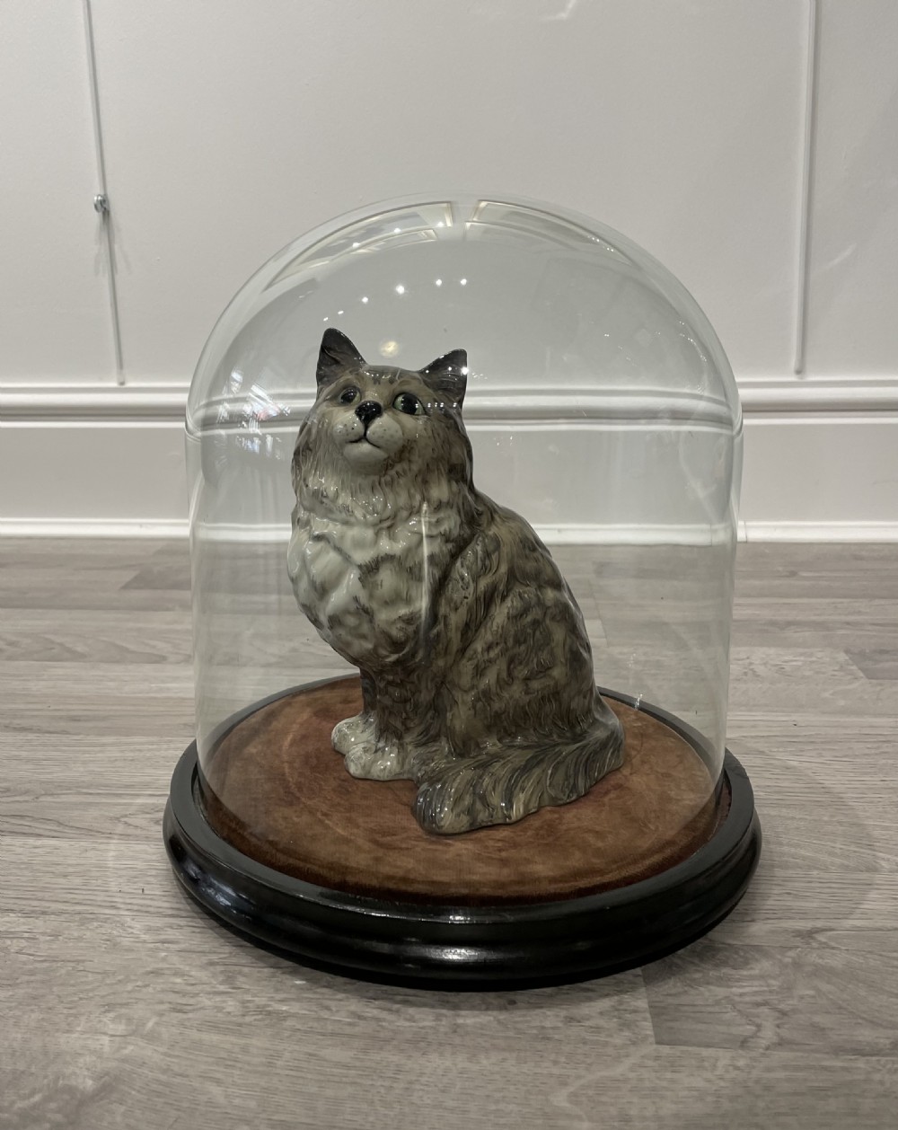 Victorian Glass Specimen Dome on Ebonised Base View III