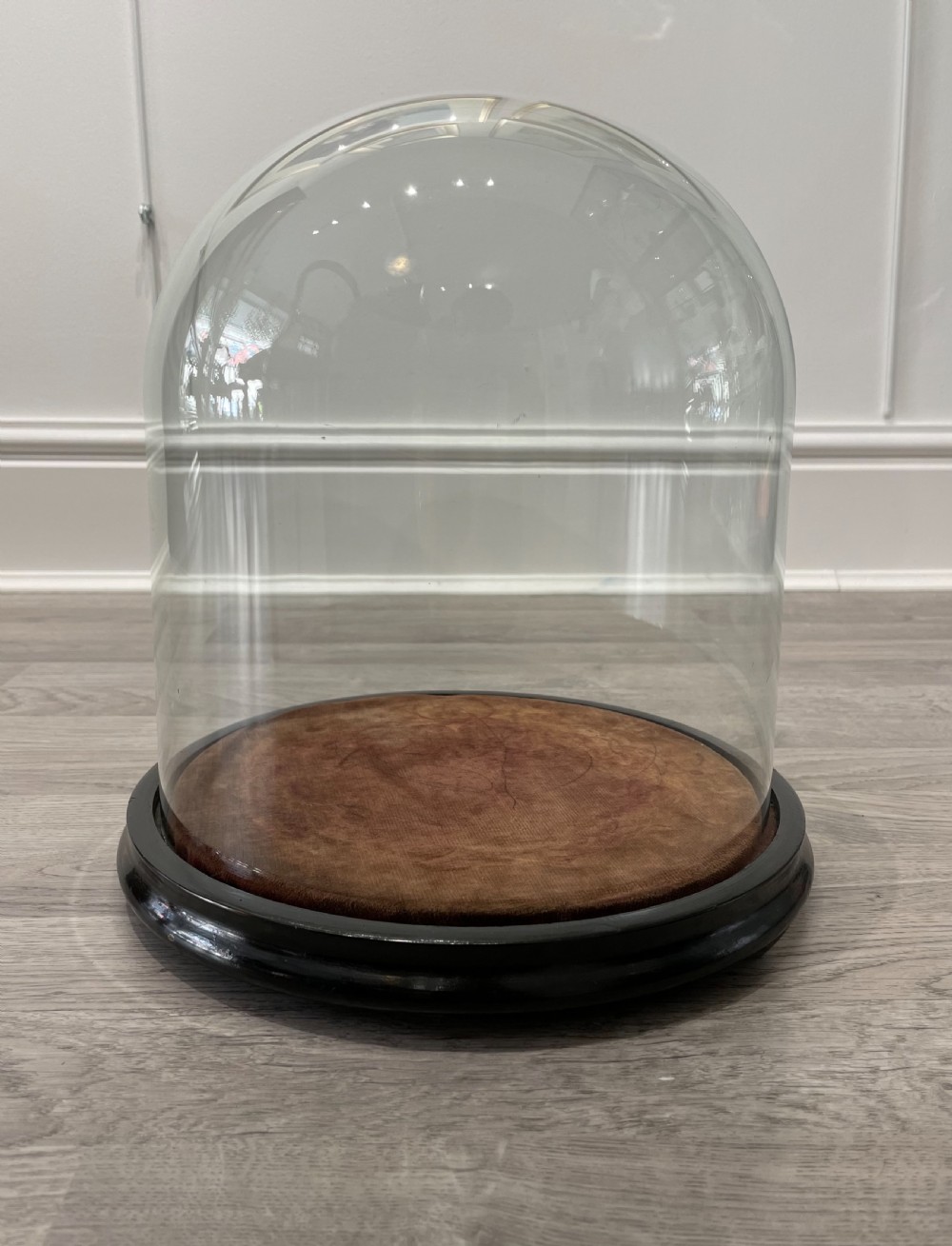 Victorian Glass Specimen Dome on Ebonised Base View V