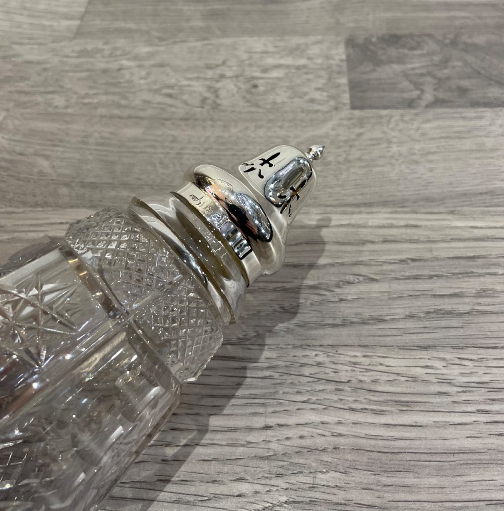 George V Silver & Glass Sugar Caster View II