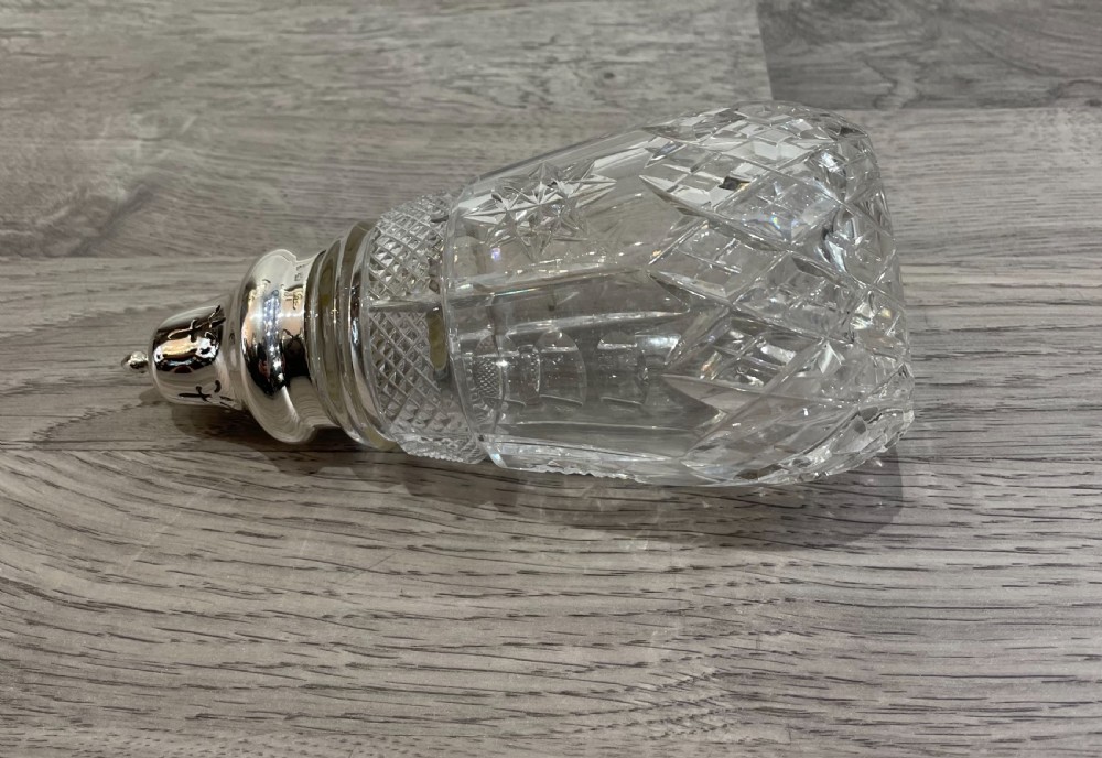 George V Silver & Glass Sugar Caster View III