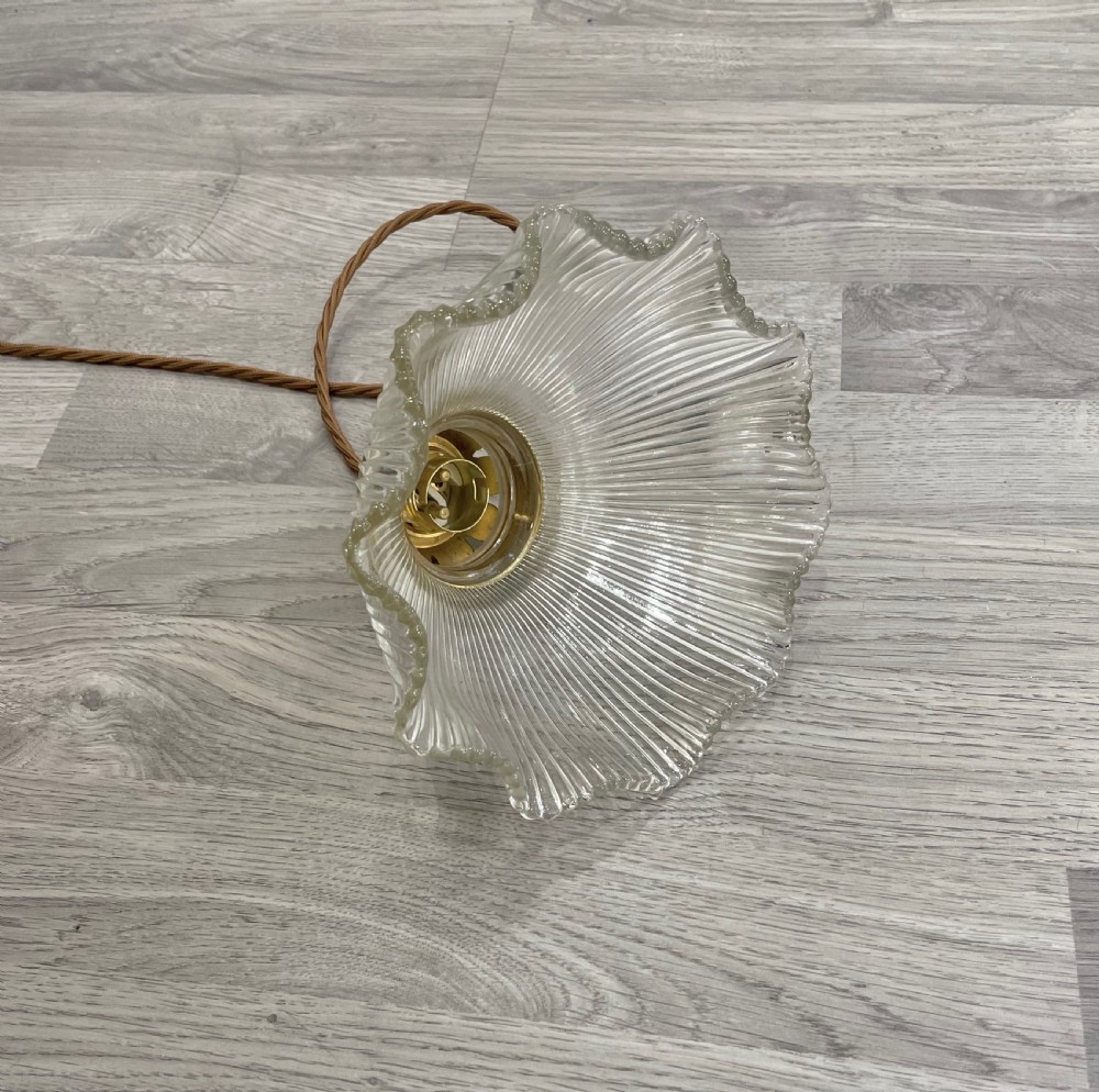 Edwardian Holophane Pendant Light View IV