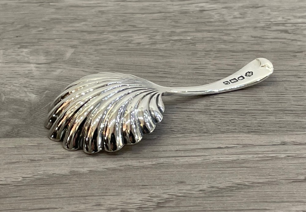 Victorian Silver Shell Bowl Caddy Spoon, 1898 View III