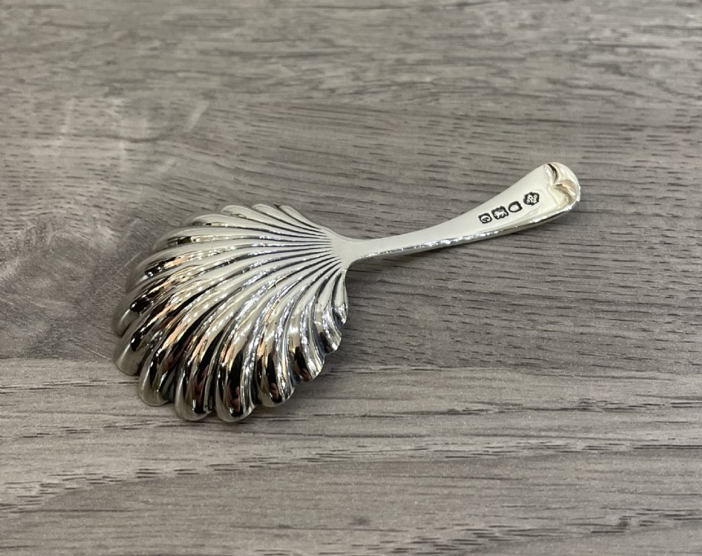 Victorian Silver Shell Bowl Caddy Spoon, 1898 View IV