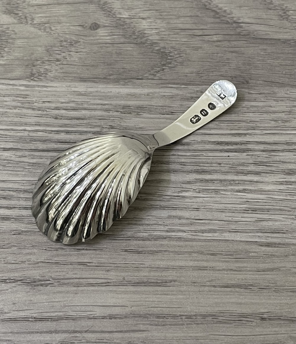 George III Silver Shell Caddy Spoon, hallmarked London 1803 by Elizabeth Morley View V