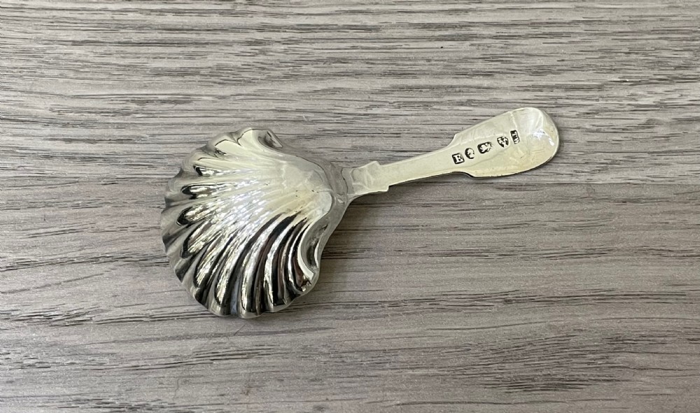 George III Silver Shell Caddy Spoon, Newcastle 1795 View III