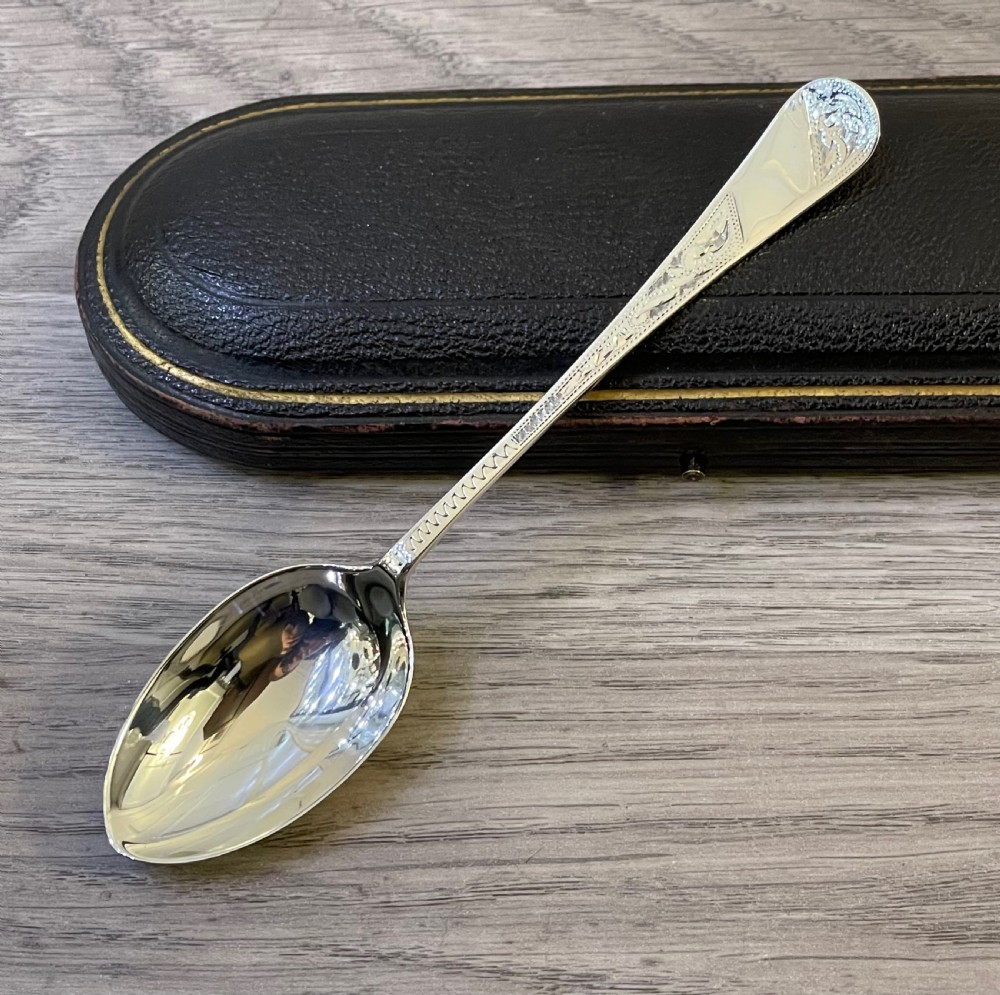 Victorian Silver Spoon in Fitted Case, Chester View IV