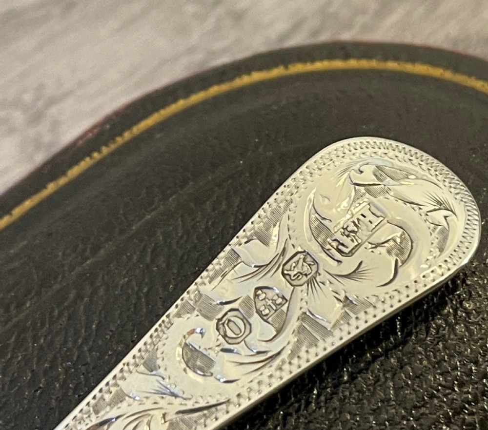 Victorian Silver Spoon in Fitted Case, Chester View VI