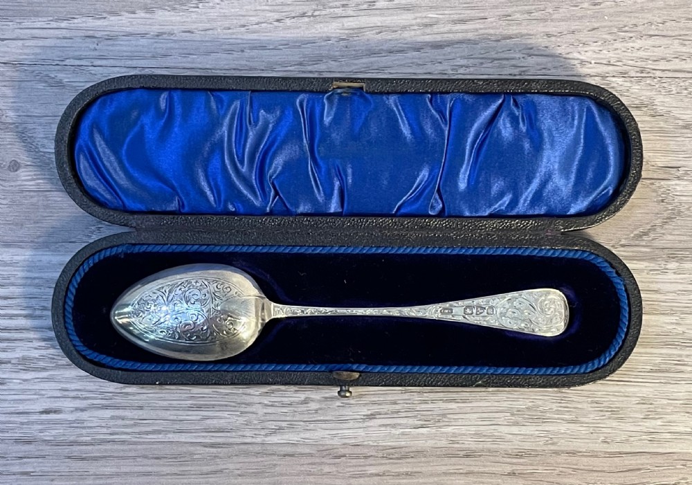 Victorian Silver Spoon in Fitted Case, Chester View VI